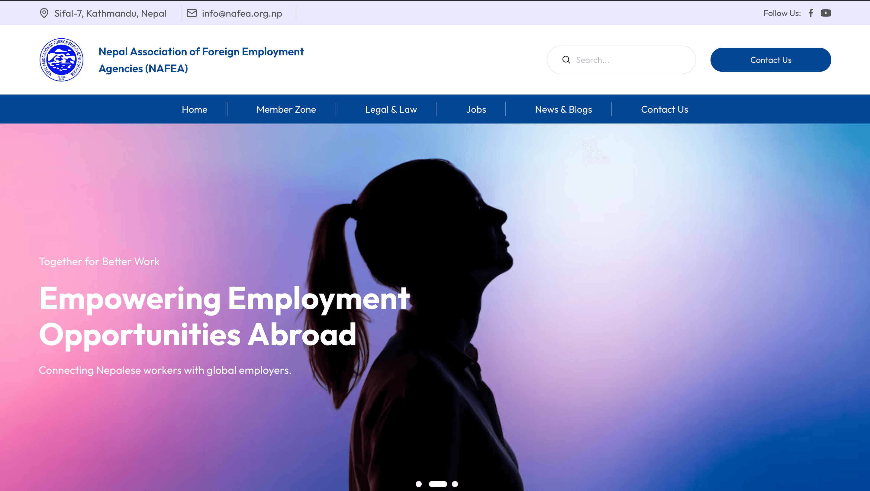 NAFEA project screenshot